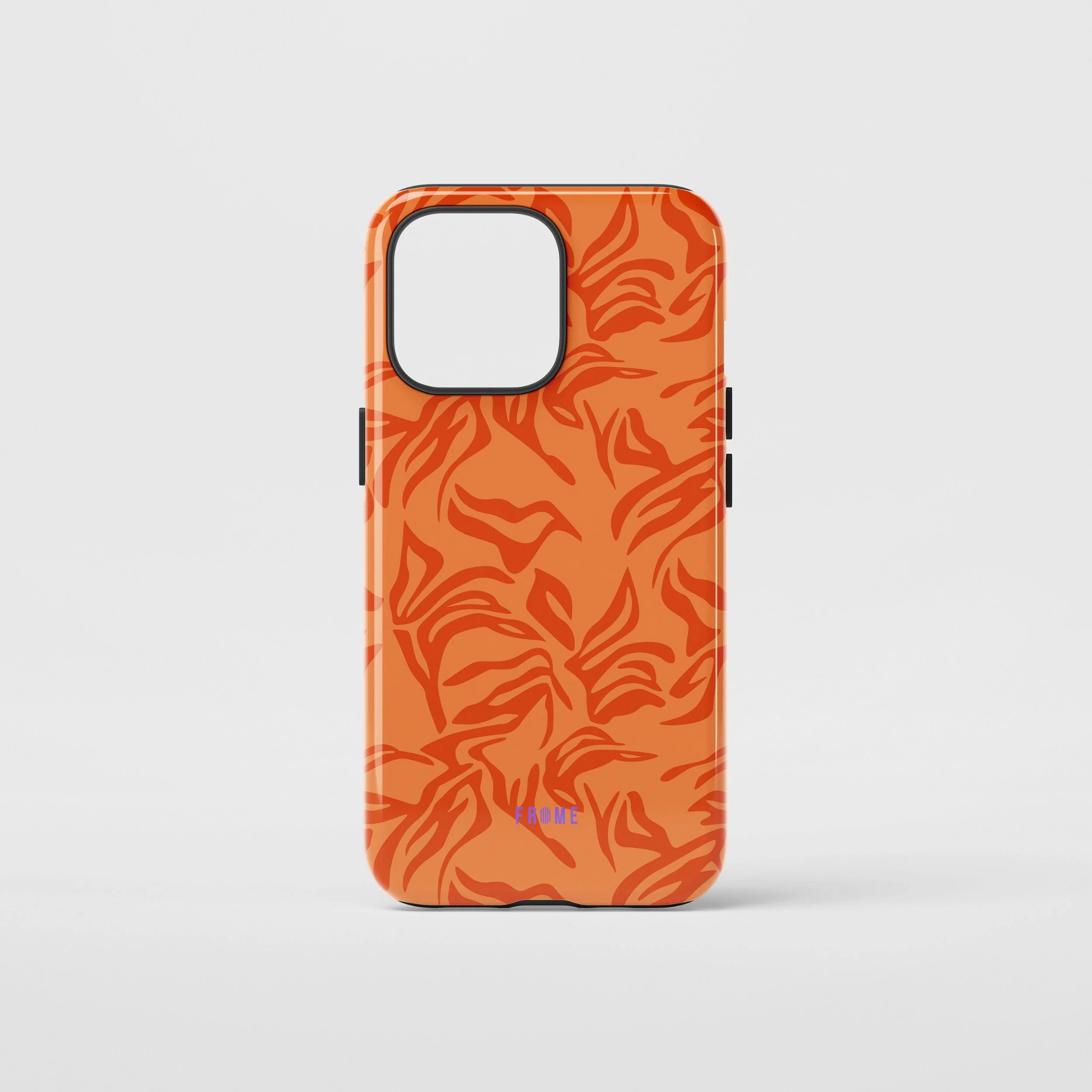 Sunset Zebra Bloom