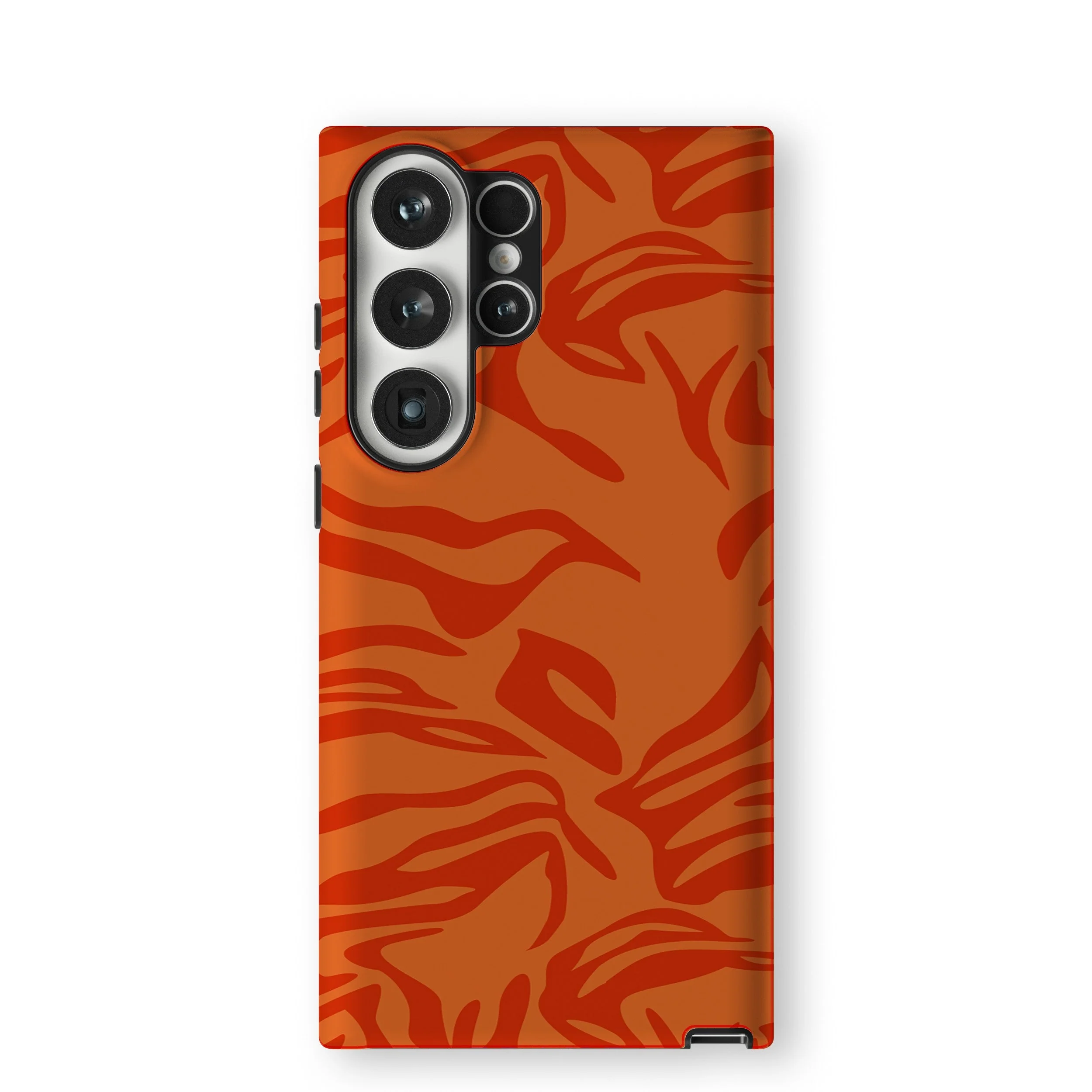 Sunset Zebra Bloom - Image 7